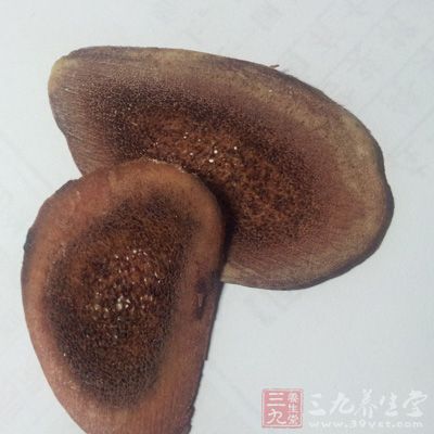 壮阳益肾酒使用鹿茸片泡成