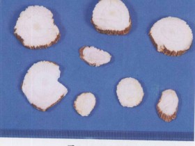 白芷的功效与作用及禁忌,白芷图片,中药白芷的用法