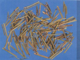 麻黄的功效与作用,麻黄图片,中药麻黄的用法