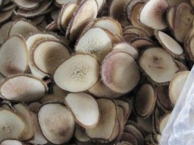 鹿茸片的功效与作用,鹿茸片怎么吃