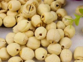 莲子的功效与作用,莲子怎么吃,莲子的副作用及禁忌