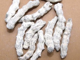 僵蚕的功效与作用及禁忌,僵蚕图片