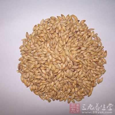 麦芽治疗黄疸症