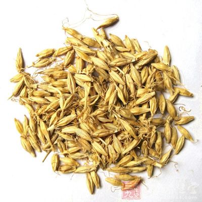 生麦芽能够促进淀粉性食物的消化