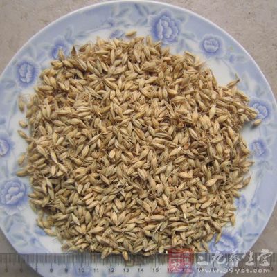 麦芽：补脾胃虚，宽肠胃，捣细炒黄色，取面用之