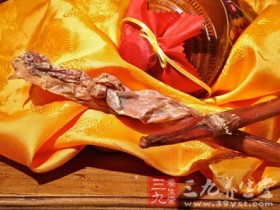 鹿鞭的功效与作用及食用方法,鹿鞭泡酒配方