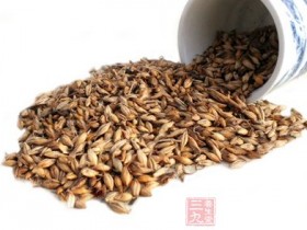 麦芽的功效与作用及禁忌,麦芽图片,麦芽的做法大全
