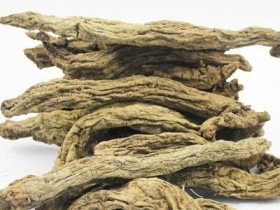 玄参的功效与作用