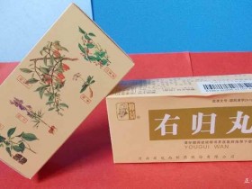 肾阳虚吃什么药,治疗肾阳虚的中成药大全