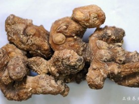 黄精的功效与作用及食用方法