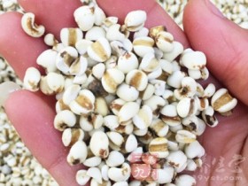 祛湿的食物有哪些,吃什么祛湿排毒,快速祛湿的方法