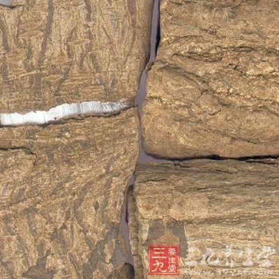 杜仲的药理作用