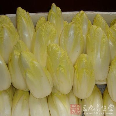 菊苣根6份，土木香3份，小茴香1份。共研细粉