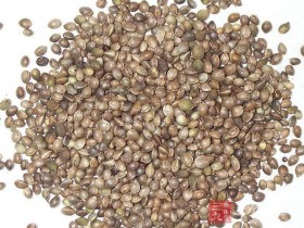 火麻仁的功效与作用及食用方法