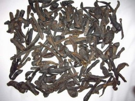 水蛭的功效与作用及禁忌,水蛭的药用价值,中药水蛭图片