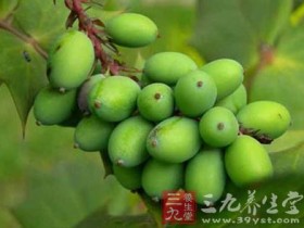 胖大海的功效与作用,胖大海的副作用与禁忌,中药胖大海图片