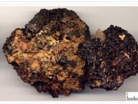 干漆的功效与作用