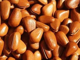 松子的功效与作用,吃松子有什么好处