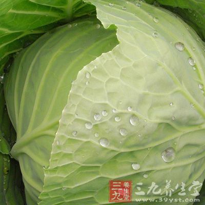 圆白菜的做法其实是非常多的