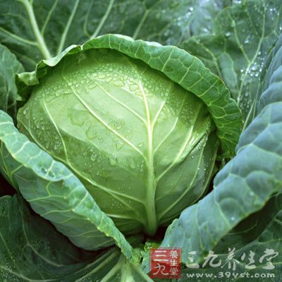 圆白菜炒粉丝，主要调料生抽10克,盐3克,味精2克