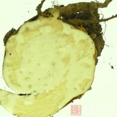 本品有毒，不可内服