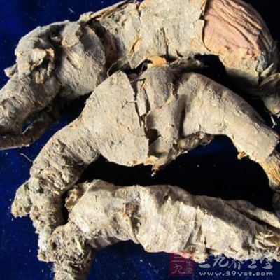 取月腺大戟洗净，剥去老皮，切碎，加水煎煮