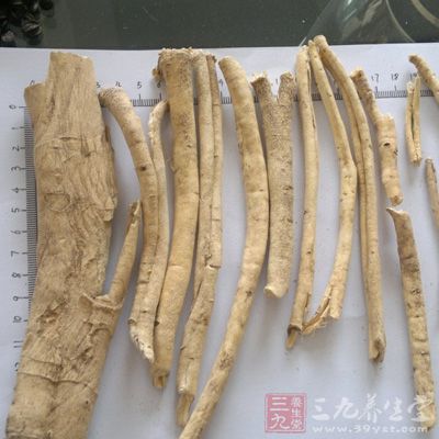 白鲜乃苦寒胜湿之药，又能通行经隧脉络