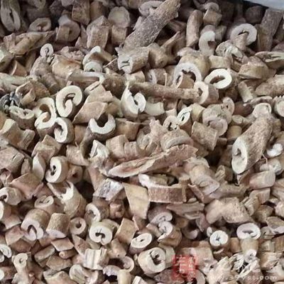 白鲜皮为芸香科多年生草本植物白鲜皮的根皮