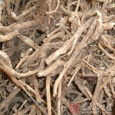 白鲜碱、茵芋碱及崖椒碱的混合物能降低肾上腺素对豚鼠精囊的作用