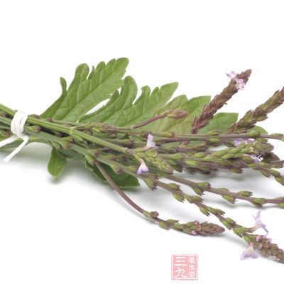 材料：马鞭草60g