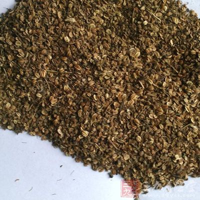 蛇床子素能使豚鼠肺灌流量增加，其作用强于氨茶碱