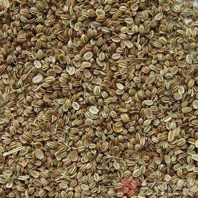 蛇床子素能较强地抑制小鼠被动皮肤过敏反应