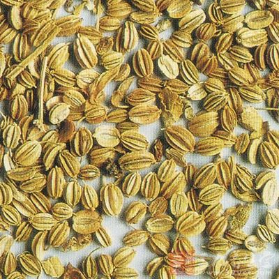 蛇床子的水提液对蟾蜍离体坐骨神经有阻滞麻醉作用