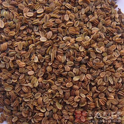 蛇床子佐菟丝子，疗阳萎