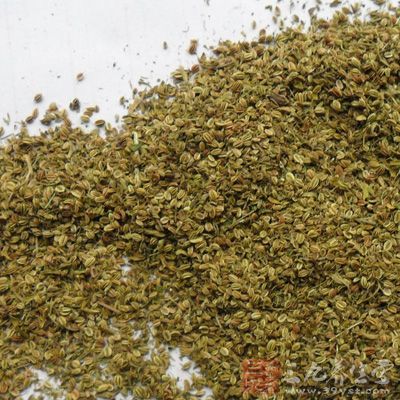 蛇床子仁，一味末之