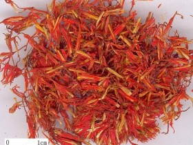 红蓝花的功效与作用