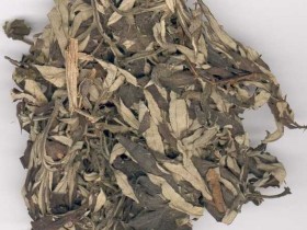 艾叶的功效与作用及禁忌,中药艾叶图片