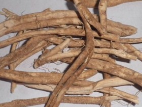 白鲜皮的功效与作用及食用方法,白鲜皮的副作用与禁忌