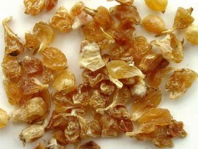 薤白的功效与作用及禁忌,中药薤白图片