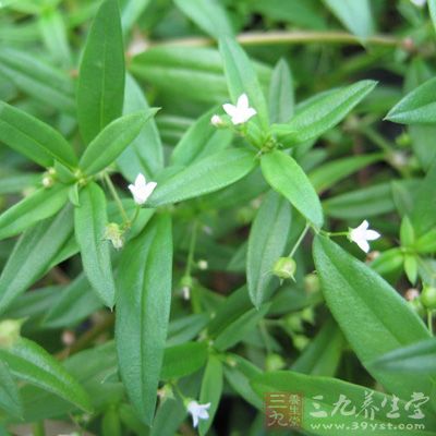 6844418bg74965b6939a3&690