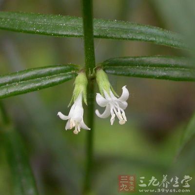 aHR0cDovL2ltZ3NyYy5iYWlkdS5