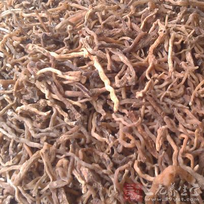 滋养气血，根本既治，余疾自除