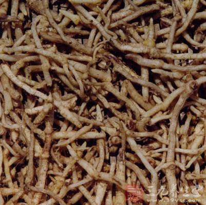 将玉竹洗净，切成节，用水稍润，煎熬2次，收取药液1000克