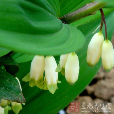 养阴，润燥，除烦，止渴