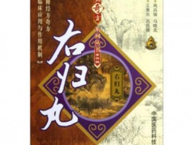 右归丸的功效与作用,右归丸和桂附地黄丸的区别