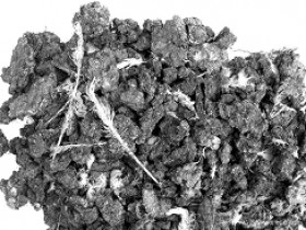 鸡屎白是什么,鸡屎白散的功效与作用