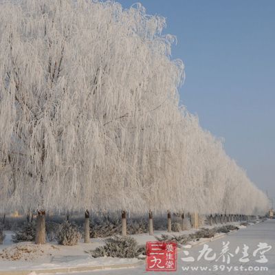 冬至过节源于汉代，盛于唐宋，相沿至今