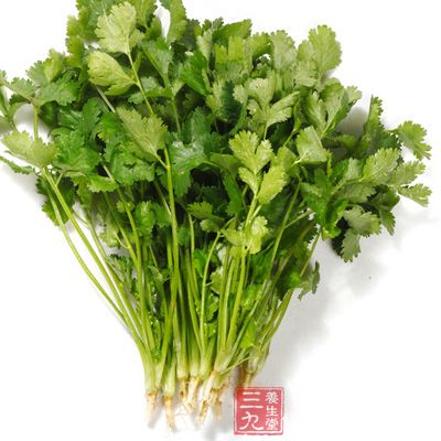 香菜的存储方法