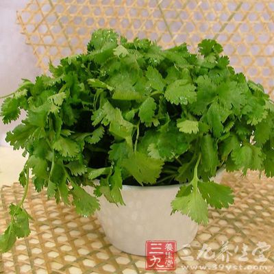 经常感冒的人不能吃香菜