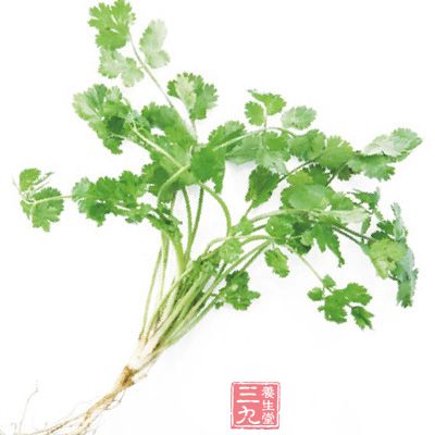 香菜不可久食，令人多忘